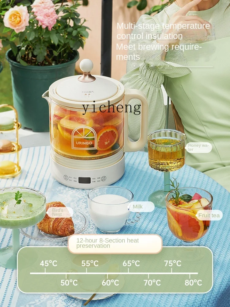 健康鍋、小型、多機能、家庭用、自動ガラス製ティーメーカー C - Health & Wellness Kuala Lumpur のレビューと価格