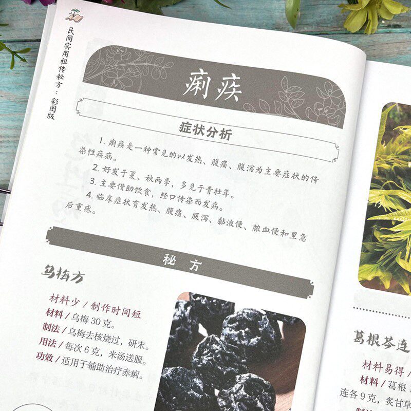 民間伝承の治療法集：伝統的な健康法の秘訣、家庭で実践できる健 - Health Wellness Home Care のレビューと価格